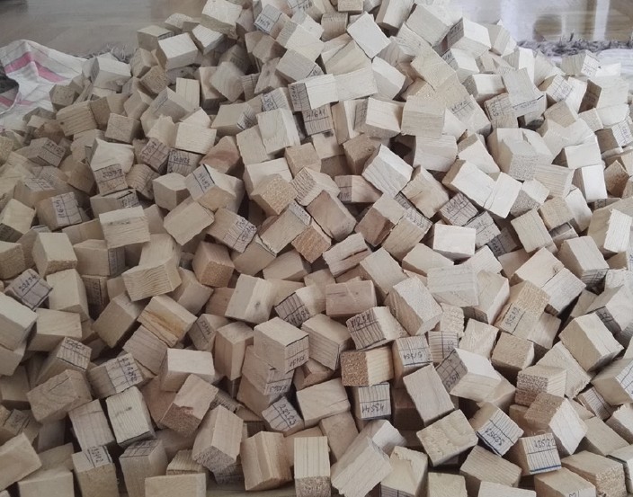 Petrovic_et_al_naslovna